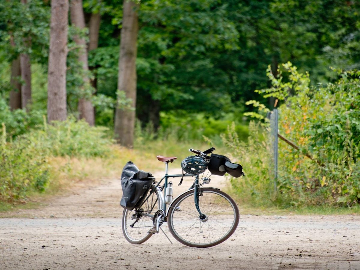 Fahrrad auf dem Weg im Wald 