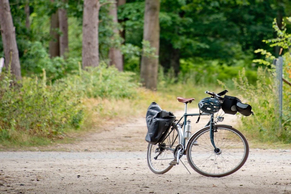 Fahrrad auf dem Weg im Wald 