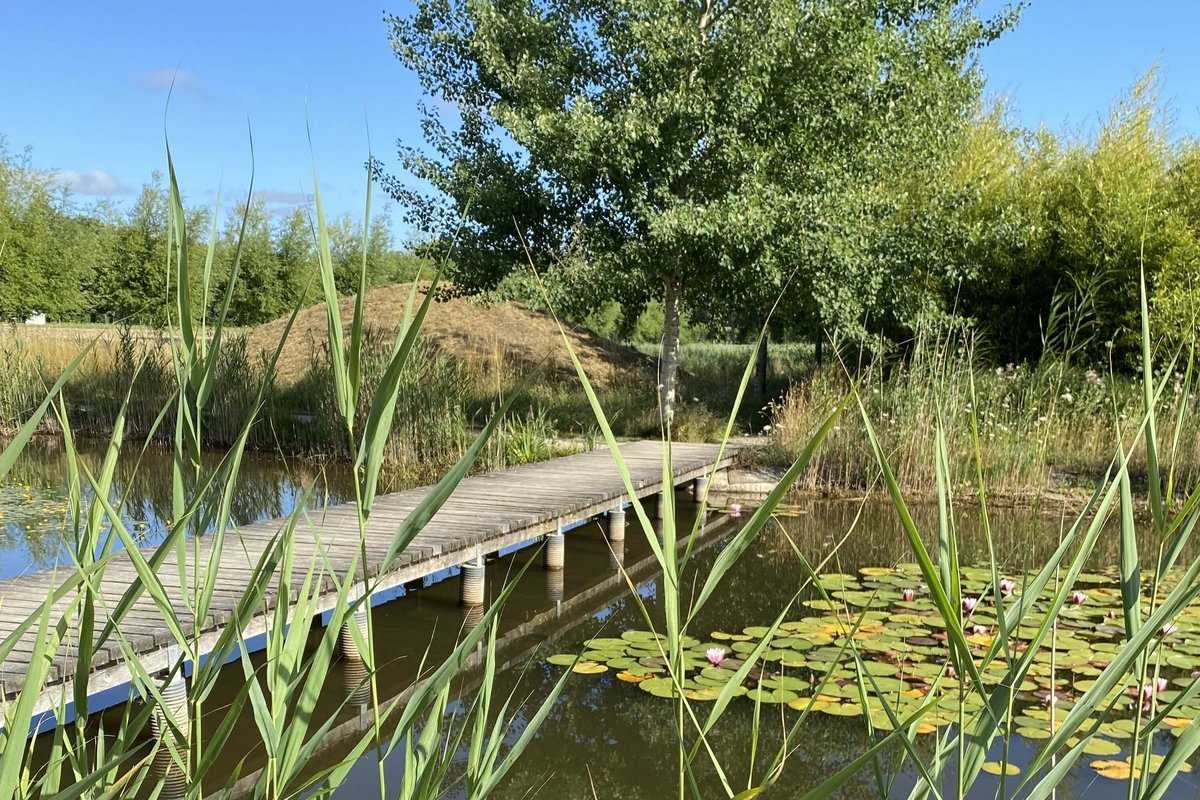 Steg und Teich im Garten der Stille