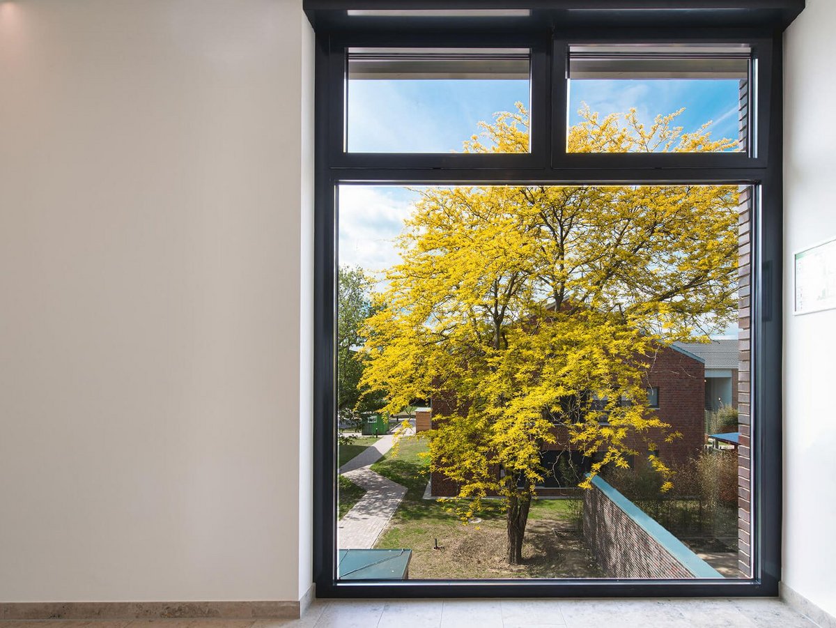 Blick aus dem Fenster auf einen leuchtend grünen Baum 