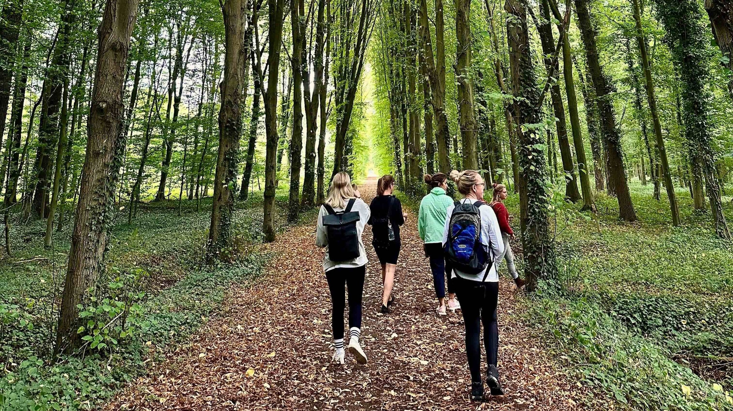 Waldbaden Eine Gruppe im Wald