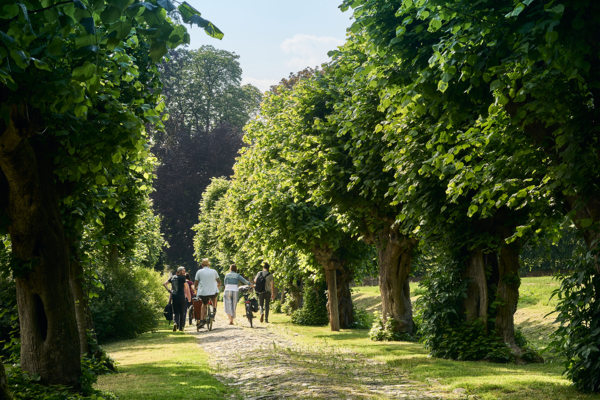 Menschen zur Fuß und mit Fahrrad spazieren in einer Allee